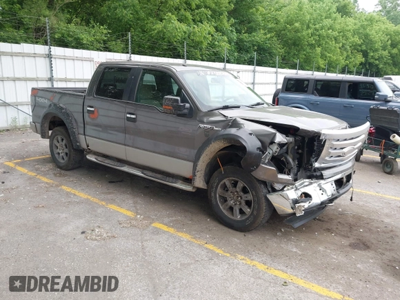 2009 Ford F-150 XL z VIN 1FTRW14829FB24504, wystawiony jako IAAI lot #42485199 z przebiegiem 198 639 mil mil oraz . Historia ofert i sprzedaży dostępna na DreamBid. Obrazek 1.