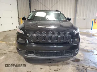 2017 Jeep Cherokee Limited with VIN 1C4PJMDS1HW625269, listed as a Copart auction lot 57131095 with 113,063 mi miles and Salvage title. Bid and sale history available at DreamBid. Image 5.