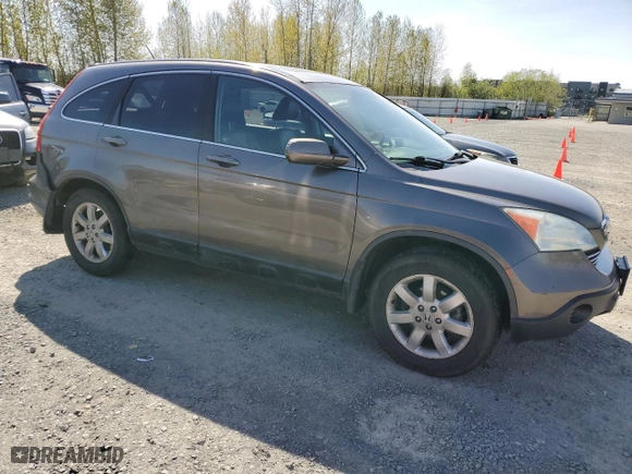 2009 Honda CR-V EX-L with VIN 5J6RE48789L031388, listed as a Copart auction lot 53002655 with 259,803 mi miles and Salvage Title. Bid and sale history available at carsss.com. Image 4.