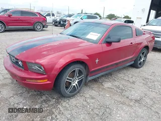 2006 Ford Mustang Standard with VIN 1ZVFT80N865153357, listed as a IAAI auction lot 42612659 with Not provided miles and . Bid and sale history available at DreamBid. Image 2.