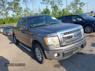 2013 Ford F-150 XL with VIN 1FTEX1CM9DFD23231, listed as a IAAI auction lot 42022012 with 220,971 mi miles. Bid and sale history available at carsss.com. Image 1.