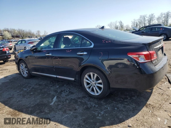 2010 Lexus ES 330 with VIN JTHBK1EG4A2409735, listed as a Copart auction lot 51306705 with 161,815 mi miles and Salvage Title. Bid and sale history available at DreamBid. Image 2.