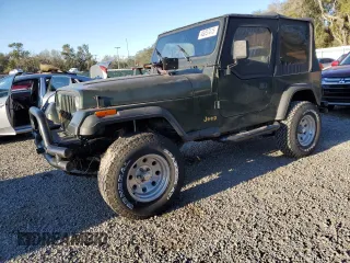 1995 Jeep Wrangler S with VIN 1J4FY19P1SP256905, listed as a Copart auction lot 46057415 with 138,212 mi miles and Salvage Title. Bid and sale history available at carsss.com. Image 1.