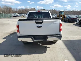 2019 Ford F-150 XL with VIN 1FTEW1E44KFA84586, listed as a Copart auction lot 50555625 with 204,126 mi miles and Salvage Title. Bid and sale history available at carsss.com. Image 6.