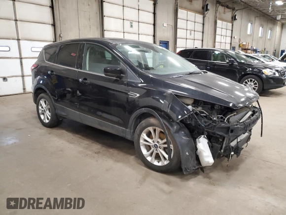2019 Ford Escape SE with VIN 1FMCU0GD2KUA71475, listed as a Copart auction lot 50987935 with 36,663 mi miles and Salvage Title. Bid and sale history available at carsss.com. Image 4.