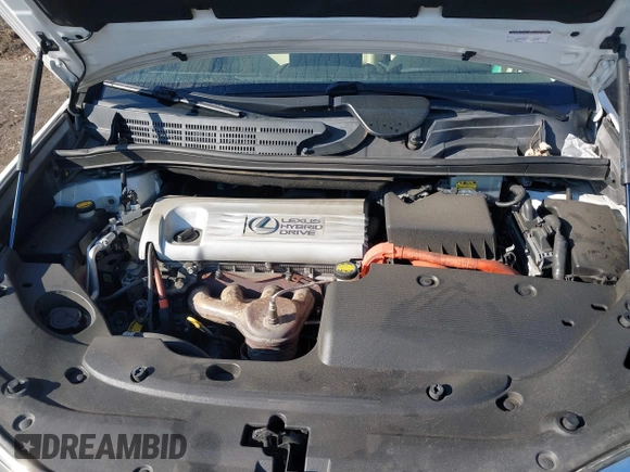 2010 Lexus HS 250h with VIN JTHBB1BA9A2022730, listed as a IAAI auction lot 41659847 with 118,985 mi miles and . Bid and sale history available at DreamBid. Image 10.