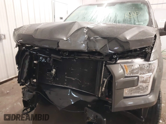 2017 Ford F-150 XL with VIN 1FTEX1E82HFB75381, listed as a IAAI auction lot 41583133 with 40,675 mi miles. Bid and sale history available at carsss.com. Image 13.