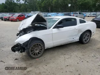 2013 Ford Mustang V6 z VIN 1ZVBP8AMXD5280603, wystawiony jako Copart lot #59978405 z przebiegiem Nie podano mil oraz Szkoda całkowita • Salvage title. Historia ofert i sprzedaży dostępna na DreamBid. Obrazek 1.