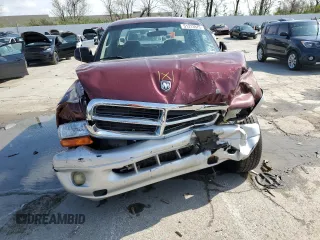 2003 Dodge Dakota SLT with VIN 1D7HL48N43S168353, listed as a Copart auction lot 51313975 with 213,540 mi miles and Salvage Title. Bid and sale history available at carsss.com. Image 5.