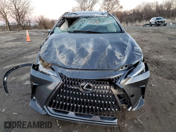 2023 Lexus NX with VIN 2T2GGCEZ4PC027507, listed as a Copart auction lot 80010563 with Not Provided miles. Bid and sale history available at carsss.com. Image 5.