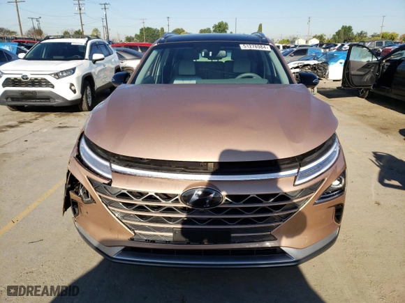 2020 Hyundai NEXO Limited with VIN KM8J84A69LU007979, listed as a Copart auction lot 69345064 with NaN miles and Salvage Title. Bid and sale history available at carsss.com. Image 5.