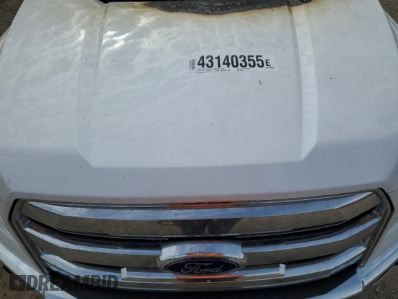 2017 Ford F-150 XL with VIN 1FTEW1EF2HKD48454, listed as a Copart auction lot 43140355 with 0 mi miles and Salvage Title. Bid and sale history available at carsss.com. Image 12.