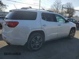 2017 GMC Acadia Denali with VIN 1GKKNPLS4HZ233567, listed as a Copart auction lot 48017195 with 113,623 mi miles and Salvage Title. Bid and sale history available at DreamBid. Image 3.