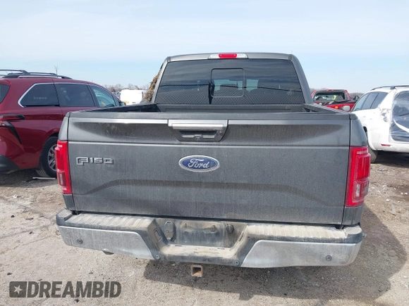 2016 Ford F-150 XLT with VIN 1FTEW1EG2GKD10018, listed as a IAAI auction lot 41576822 with 236,098 mi miles. Bid and sale history available at carsss.com. Image 16.