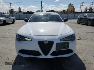 2020 Alfa Romeo Giulia with VIN ZARFAMAN6L7626100, listed as a Copart auction lot 51003135 with 41,991 mi miles and Salvage title. Bid and sale history available at DreamBid. Image 5.