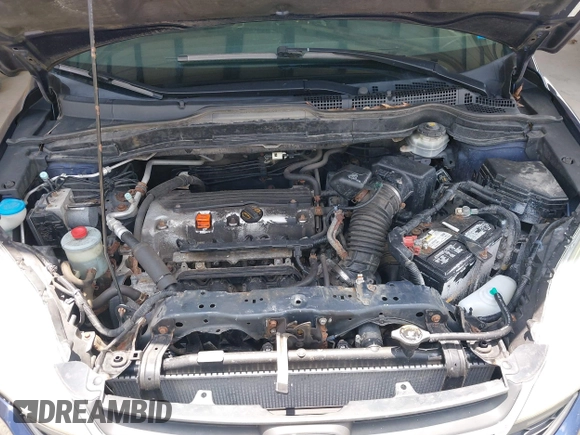 2010 Honda CR-V LX with VIN 5J6RE4H39AL098325, listed as a IAAI auction lot 42583667 with 131,966 mi miles and . Bid and sale history available at DreamBid. Image 10.