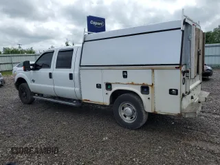 2015 Ford F-250 with VIN 1FD7W2BT4FEA28231, listed as a Copart auction lot 59860225 with 295,909 mi miles and Clean title. Bid and sale history available at DreamBid. Image 2.
