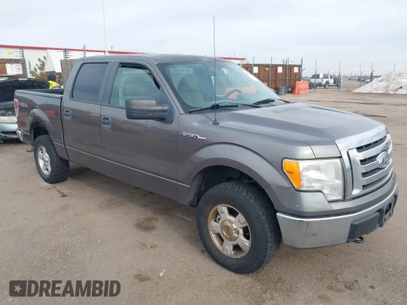 2009 Ford F-150 XL with VIN 1FTPW14V99KC52405, listed as a IAAI auction lot 41510394 with 166,245 mi miles. Bid and sale history available at carsss.com. Image 1.