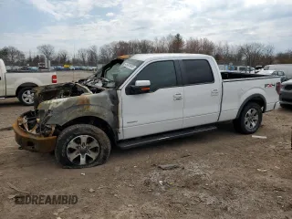 2011 Ford F-150 XLT with VIN 1FTFW1ET2BFB94838, listed as a Copart auction lot 49818905 with 0 mi miles and Salvage Title. Bid and sale history available at carsss.com. Image 1.