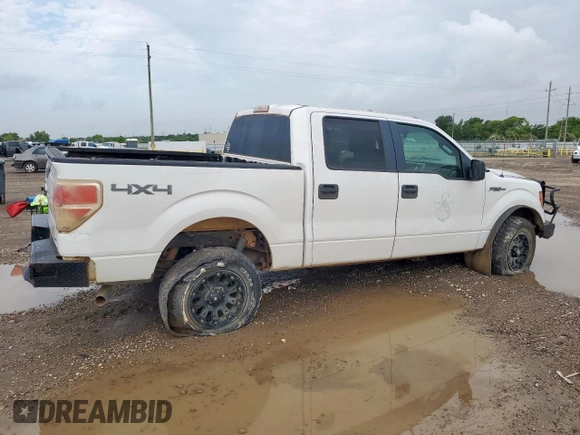 2013 Ford F-150 XL with VIN 1FTFW1EF8DFA45783, listed as a Copart auction lot 64494215 with 194,441 mi miles and Clean title. Bid and sale history available at DreamBid. Image 3.