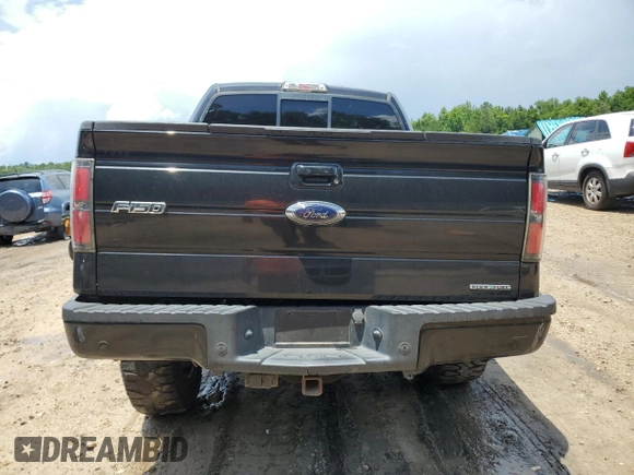 2014 Ford F-150 XL with VIN 1FTFW1EF7EFA05843, listed as a Copart auction lot 60824685 with 170,071 mi miles and Salvage title. Bid and sale history available at DreamBid. Image 6.