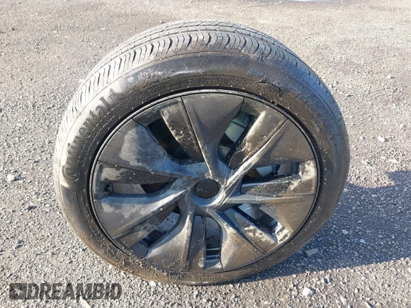 2024 Tesla Model Y Long Range z VIN 7SAYGDEE7RA300756, wystawiony jako IAAI lot #41922910 z przebiegiem 4 262 mil mil oraz . Historia ofert i sprzedaży dostępna na DreamBid. Obrazek 12.
