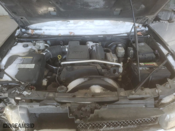 2005 Chevrolet TrailBlazer LS with VIN 1GNES16S756203638, listed as a Copart auction lot 41380725 with 0 mi miles and Salvage Title. Bid and sale history available at carsss.com. Image 12.