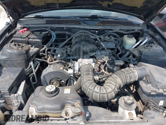 2005 Ford Mustang Deluxe z VIN 1ZVFT80N355240212, wystawiony jako IAAI lot #42426192 z przebiegiem 68 742 mil mil oraz . Historia ofert i sprzedaży dostępna na DreamBid. Obrazek 10.