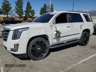 2017 Cadillac Escalade Luxury z VIN 1GYS3BKJ8HR160467, wystawiony jako Copart lot #48958105 z przebiegiem 133 108 mil mil oraz Szkoda całkowita • Salvage title. Historia ofert i sprzedaży dostępna na DreamBid. Obrazek 1.