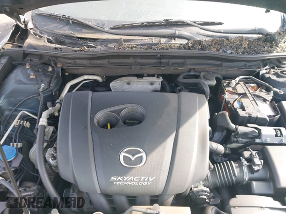 2015 Mazda 3 i Touring with VIN JM1BM1L79F1271427, listed as a IAAI auction lot 42586262 with Not provided miles and . Bid and sale history available at DreamBid. Image 10.