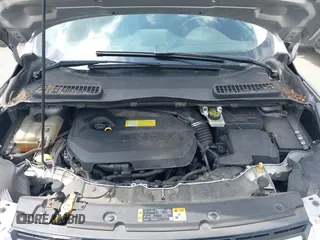 2013 Ford Escape SEL with VIN 1FMCU0HX5DUB53695, listed as a IAAI auction lot 42795881 with 165,330 mi miles and . Bid and sale history available at DreamBid. Image 10.