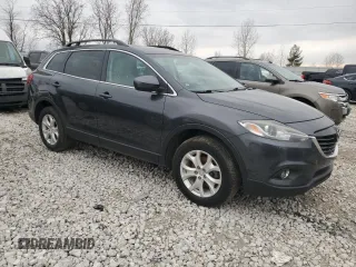 2014 Mazda CX-9 Touring with VIN JM3TB3CA9E0430881, listed as a Copart auction lot 49895605 with 166,214 mi miles and Clean Title. Bid and sale history available at carsss.com. Image 4.