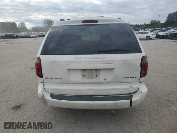 2003 Dodge Caravan Sport with VIN 2D4GP44RX3R380035, listed as a Copart auction lot 73390974 with 0 mi miles and Salvage Title. Bid and sale history available at carsss.com. Image 6.