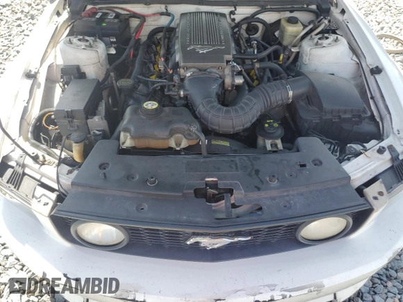 2008 Ford Mustang GT Deluxe with VIN 1ZVHT82H185202918, listed as a Copart auction lot 61624935 with 220,956 mi miles and Clean title. Bid and sale history available at DreamBid. Image 11.