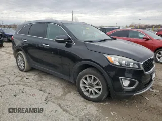 2016 Kia Sorento EX with VIN 5XYPH4A59GG049811, listed as a Copart auction lot 48204195 with 224,217 mi miles and Clean title. Bid and sale history available at DreamBid. Image 4.