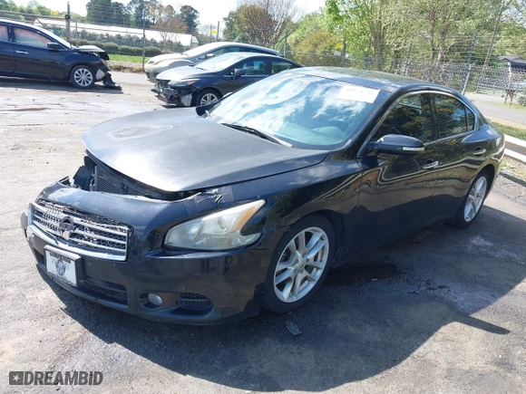 2010 Nissan Maxima 3.5 SV with VIN 1N4AA5APXAC802796, listed as a IAAI auction lot 41978731 with 240,963 mi miles. Bid and sale history available at carsss.com. Image 19.