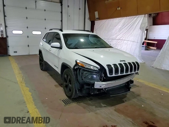 2016 Jeep Cherokee Latitude with VIN 1C4PJMCS1GW118792, listed as a Copart auction lot 53751675 with 141,098 mi miles and Clean title. Bid and sale history available at DreamBid. Image 15.