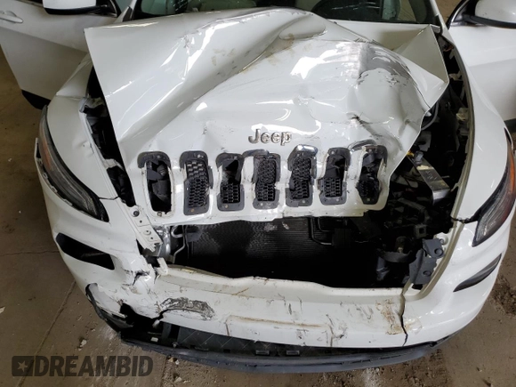 2016 Jeep Cherokee Altitude with VIN 1C4PJLCB0GW257628, listed as a Copart auction lot 55988595 with 119,749 mi miles and Non repairable. Bid and sale history available at DreamBid. Image 12.