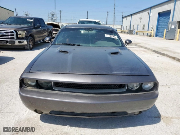 2013 Dodge Challenger R/T with VIN 2C3CDYBT4DH562786, listed as a Copart auction lot 52789365 with 0 mi miles and Clean Title. Bid and sale history available at carsss.com. Image 5.