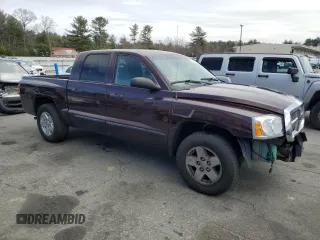 2005 Dodge Dakota SLT with VIN 1D7HW48N95S167516, listed as a Copart auction lot 49378105 with Not Provided miles and Salvage Title. Bid and sale history available at DreamBid. Image 4.