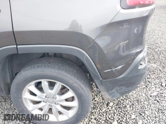 2015 Jeep Cherokee Limited with VIN 1C4PJMDS5FW550282, listed as a IAAI auction lot 41796297 with 96,374 mi miles and . Bid and sale history available at DreamBid. Image 18.