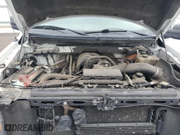 2010 Ford F-150 XL с VIN 1FTEX1E85AKE55051, выставлен на аукционе Copart как лот 56351815 с пробегом 161 481 миль миль и Списание • Salvage title. История ставок и продаж доступна на DreamBid. Изображение 11.