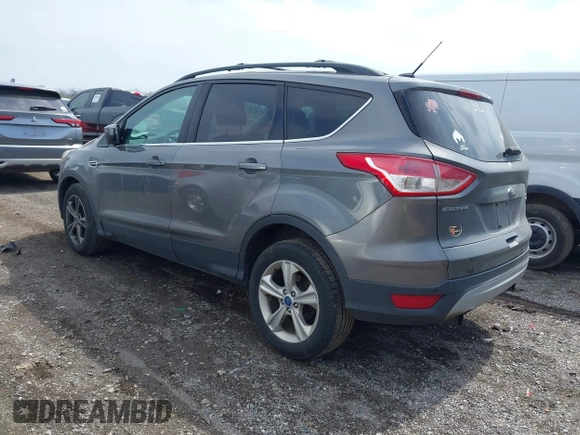 2013 Ford Escape SE with VIN 1FMCU0GX8DUB98700, listed as a IAAI auction lot 42012090 with 221,394 mi miles. Bid and sale history available at carsss.com. Image 3.