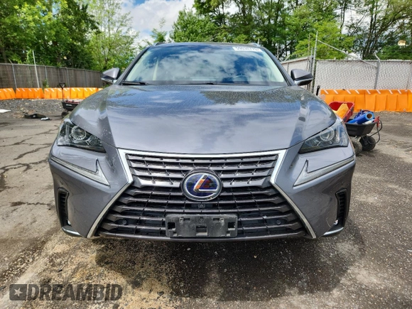 2020 Lexus NX 300h with VIN JTJGJRDZ9L2143138, listed as a Copart auction lot 59030775 with 31,817 mi miles and Salvage title. Bid and sale history available at DreamBid. Image 5.