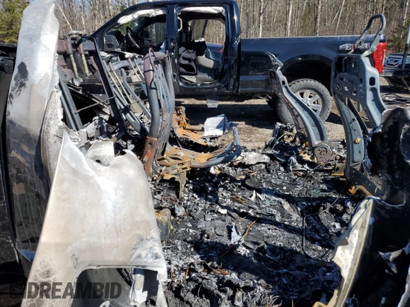 2017 Ford F-150 XL with VIN 1FTEW1EGXHFB44356, listed as a Copart auction lot 48041585 with Not provided miles and Non repairable. Bid and sale history available at DreamBid. Image 10.