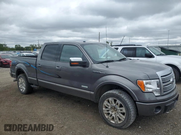 2012 Ford F-150 XL with VIN 1FTFW1ET1CFB55255, listed as a Copart auction lot 58023485 with 204,562 mi miles and Salvage title. Bid and sale history available at DreamBid. Image 4.