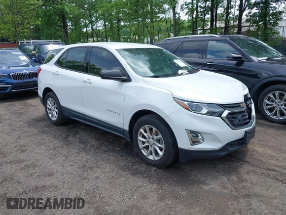 2019 Chevrolet Equinox LS with VIN 2GNAXHEV1K6222437, listed as a IAAI auction lot 42131130 with 50,404 mi miles and . Bid and sale history available at carsss.com. Image 1.