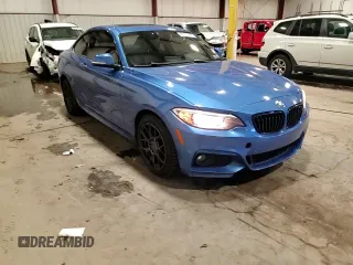 2017 BMW 2 Series 230i xDrive with VIN WBA2H9C32H7A25822, listed as a Copart auction lot 88751265 with 50,349 mi miles and Salvage Title. Bid and sale history available at carsss.com. Image 13.