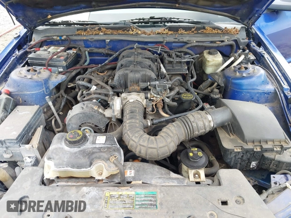 2005 Ford Mustang Deluxe with VIN 1ZVFT80N555143979, listed as a IAAI auction lot 42502001 with 201,721 mi miles and . Bid and sale history available at DreamBid. Image 10.