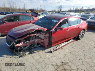 2024 Cadillac CT5 Premium Luxury with VIN 1G6DT5RK5R0130799, listed as a Copart auction lot 84441264 with 2,462 mi miles and Salvage Title. Bid and sale history available at DreamBid. Image 1.